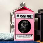 Cat Themed Gifts - Cardboard Cat Den Playhouse - Milk Carton