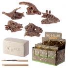 Dropship Skulls & Skeletons - Fun Excavation Dig it Out Kit - Dinosaur Fossil