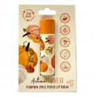 Autumn Harvest Paper Stick Lip Balm - Pumpkin Spice