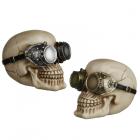 Dropship Skulls & Skeletons - Fantasy Steampunk Skull Ornament - Goggles