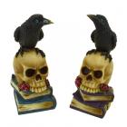 Decorative Ornament - Crow on Skull & Books