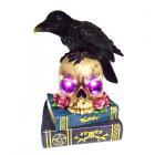 Decorative LED Ornament -  Crow on Skull & Books